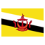 bandera de Brunei